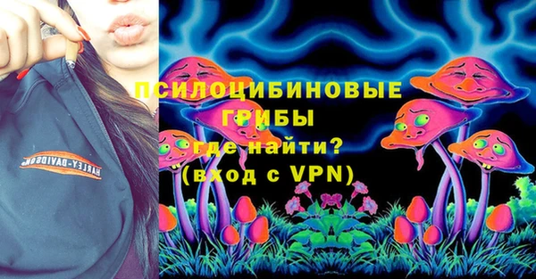 гидропоника Белокуриха