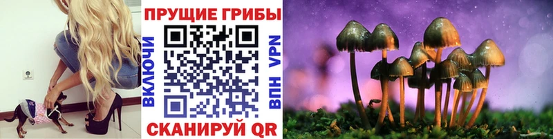 ОМГ ОМГ ССЫЛКА  наркота  Севск  Галлюциногенные грибы GOLDEN TEACHER 