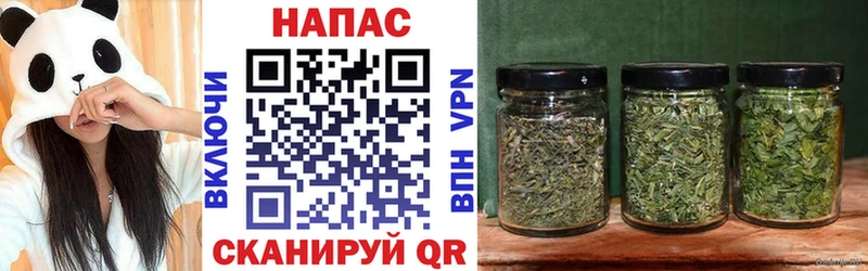МЕГА ссылки  Севск  Канабис Bruce Banner 
